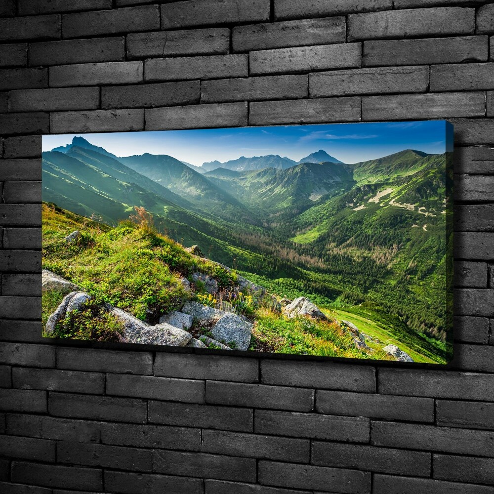 Tableau mural sur toile Aube dans les Tatras