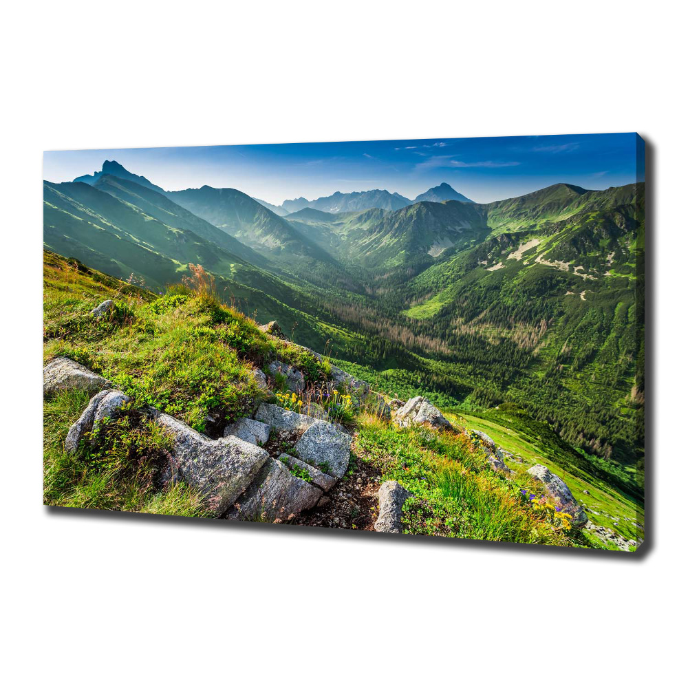 Tableau mural sur toile Aube dans les Tatras