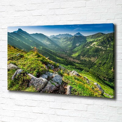 Tableau mural sur toile Aube dans les Tatras