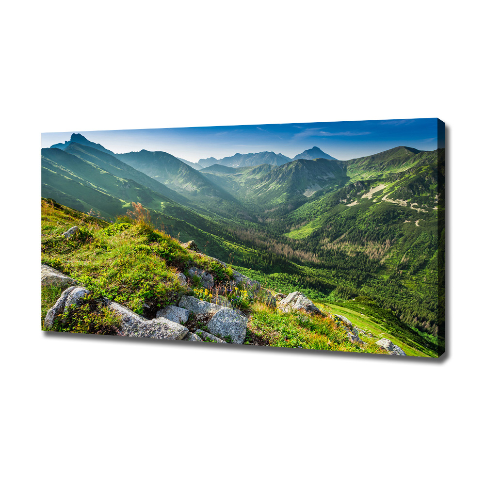 Tableau mural sur toile Aube dans les Tatras