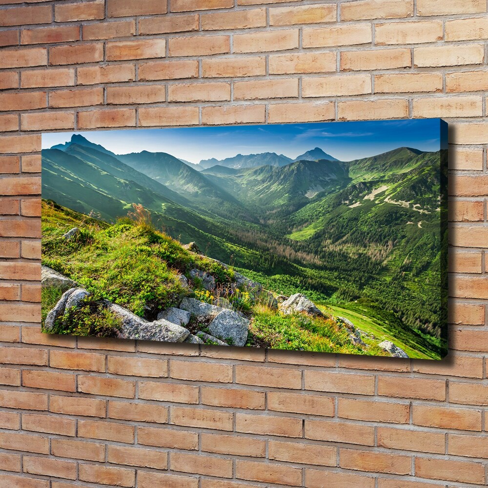 Tableau mural sur toile Aube dans les Tatras