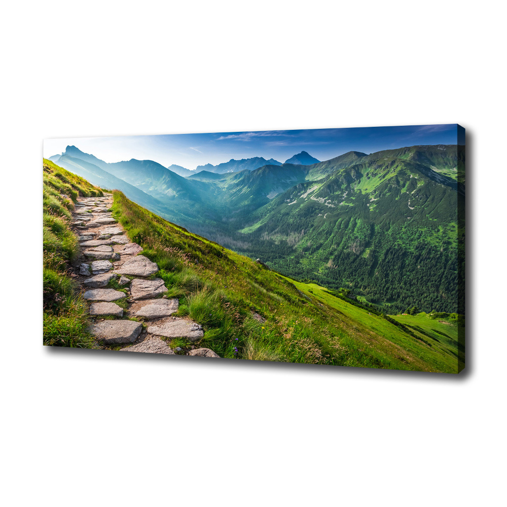 Tableau photo sur toile Sentier dans les Tatras