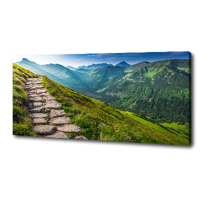 Tableau photo sur toile Sentier dans les Tatras