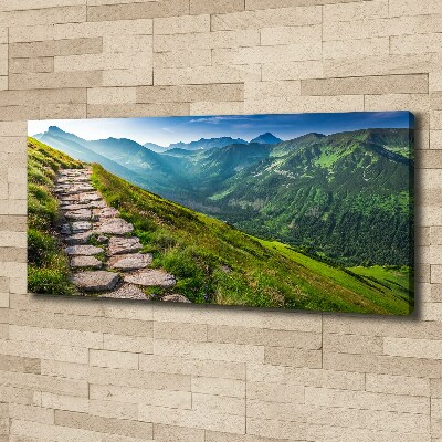 Tableau photo sur toile Sentier dans les Tatras