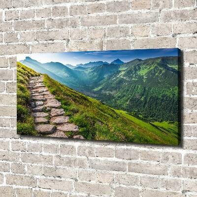 Tableau photo sur toile Sentier dans les Tatras