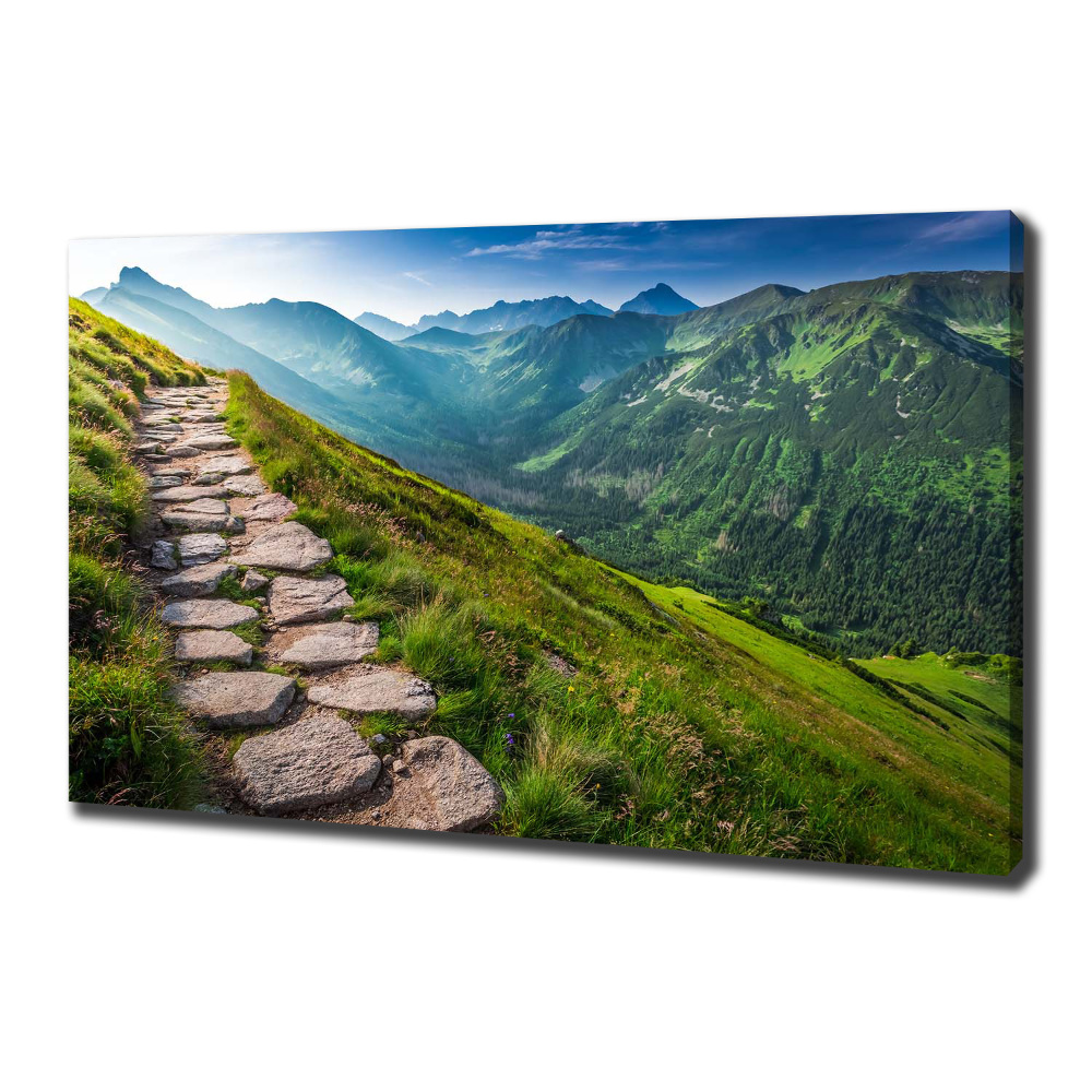 Tableau photo sur toile Sentier dans les Tatras