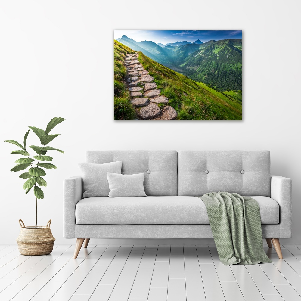 Tableau photo sur toile Sentier dans les Tatras