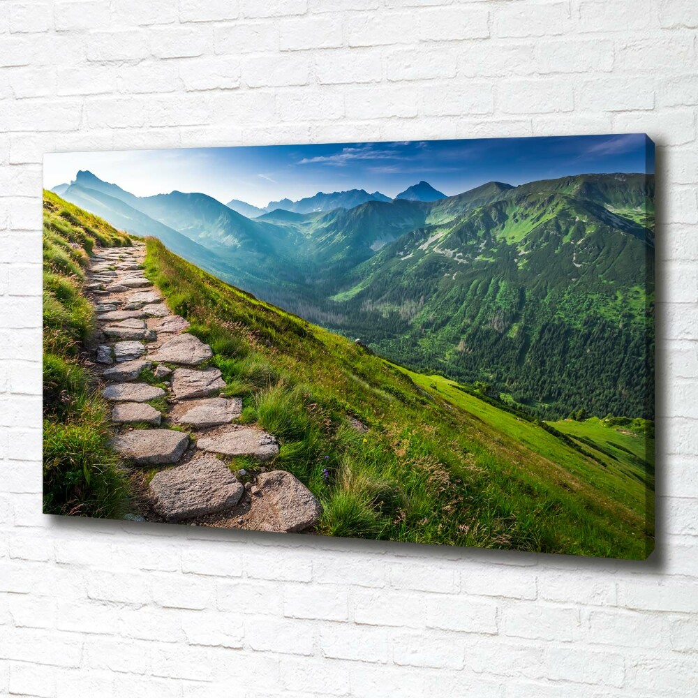 Tableau photo sur toile Sentier dans les Tatras