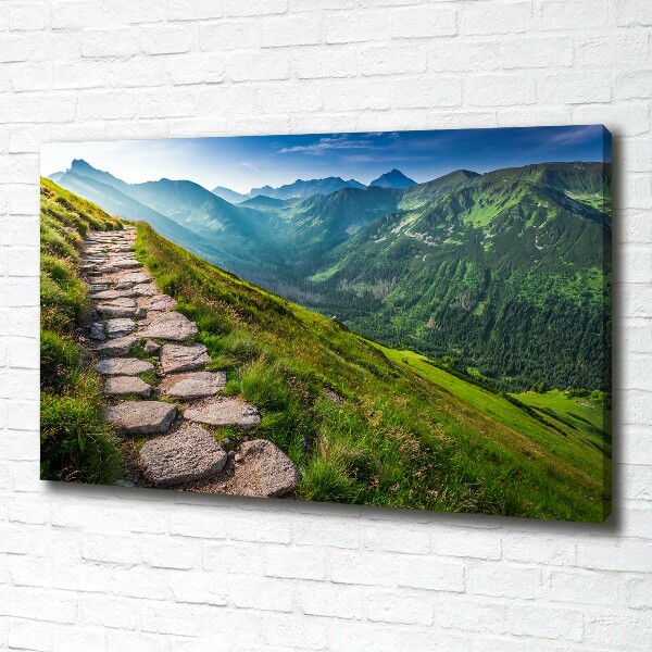 Tableau photo sur toile Sentier dans les Tatras
