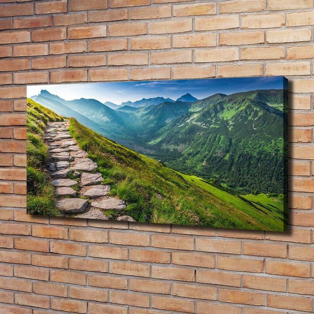 Tableau photo sur toile Sentier dans les Tatras