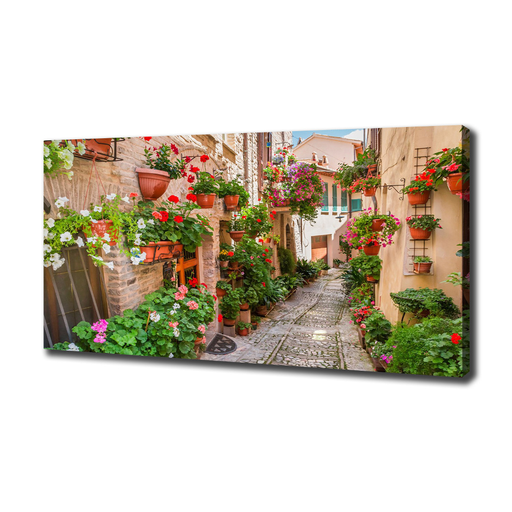 Tableau mural sur toile Rues italiennes