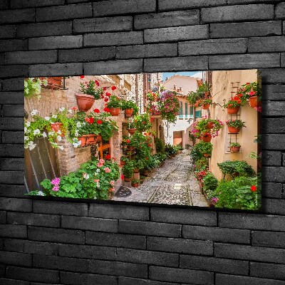 Tableau mural sur toile Rues italiennes