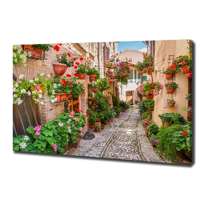 Tableau mural sur toile Rues italiennes