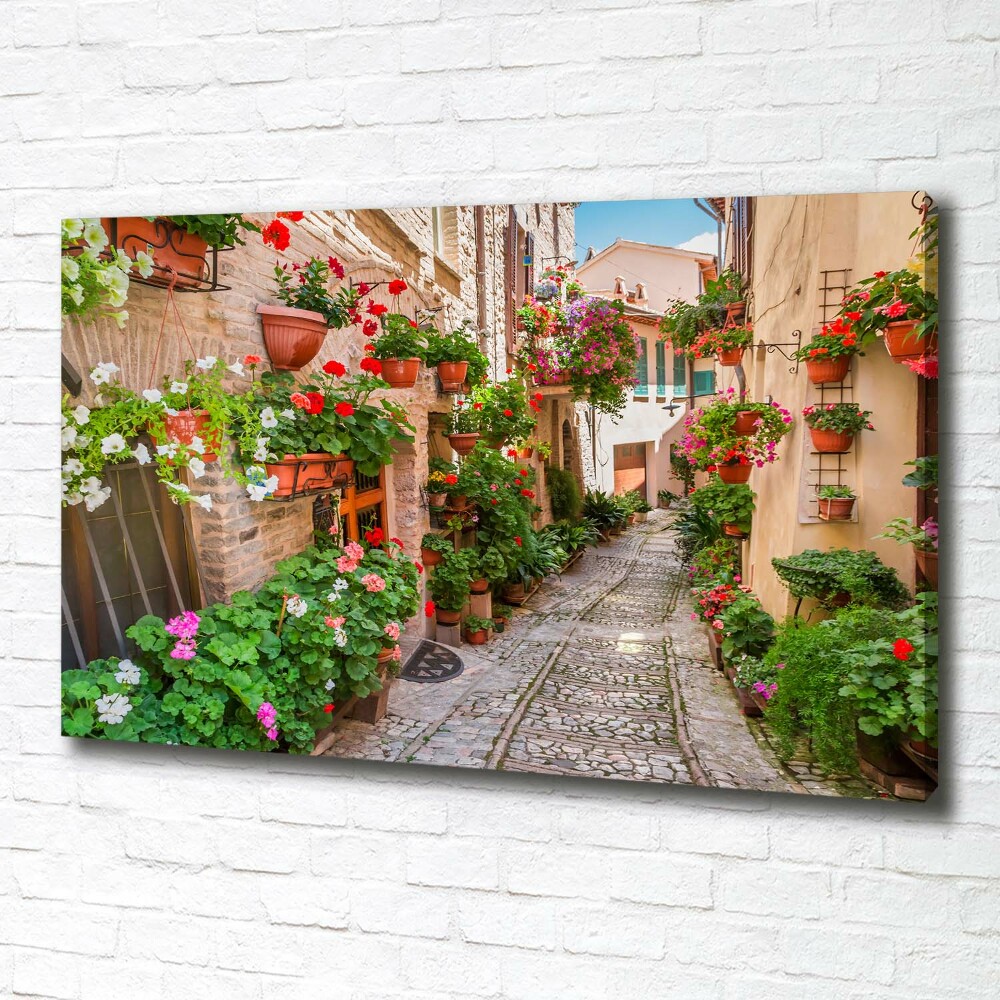 Tableau mural sur toile Rues italiennes