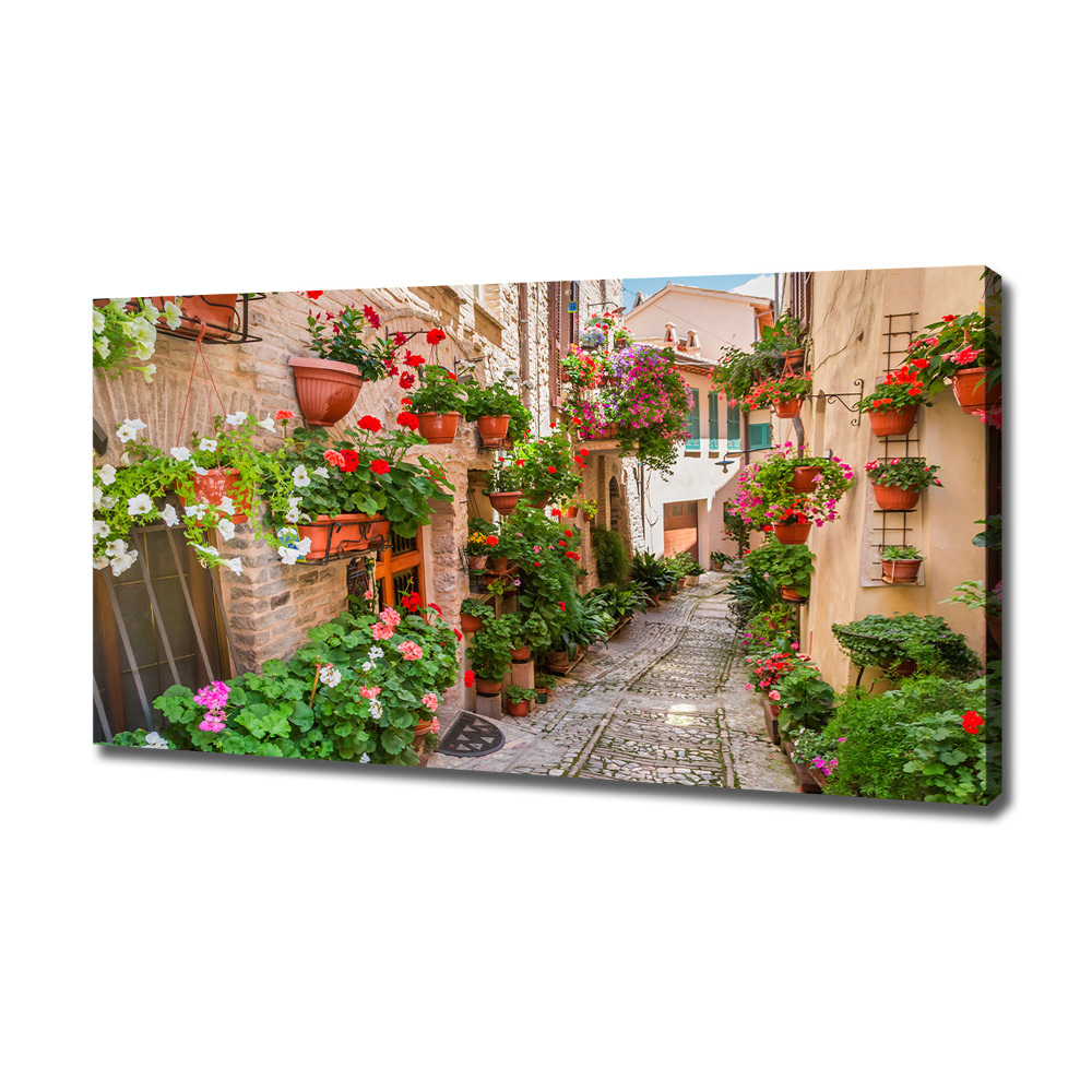 Tableau mural sur toile Rues italiennes