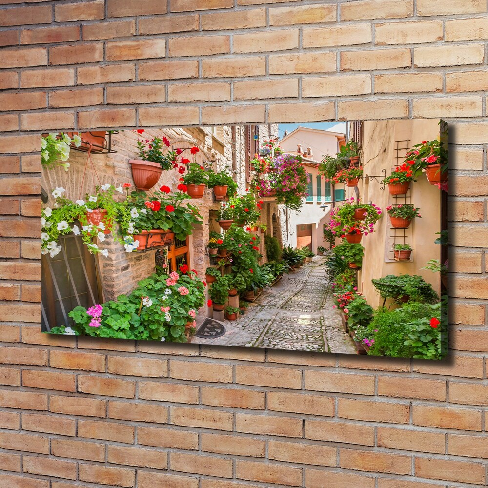 Tableau mural sur toile Rues italiennes