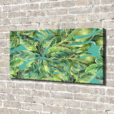 Tableau photo sur toile Feuillets tropicaux