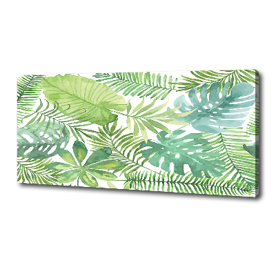 Tableau photo sur toile Feuilles vertes tropicales