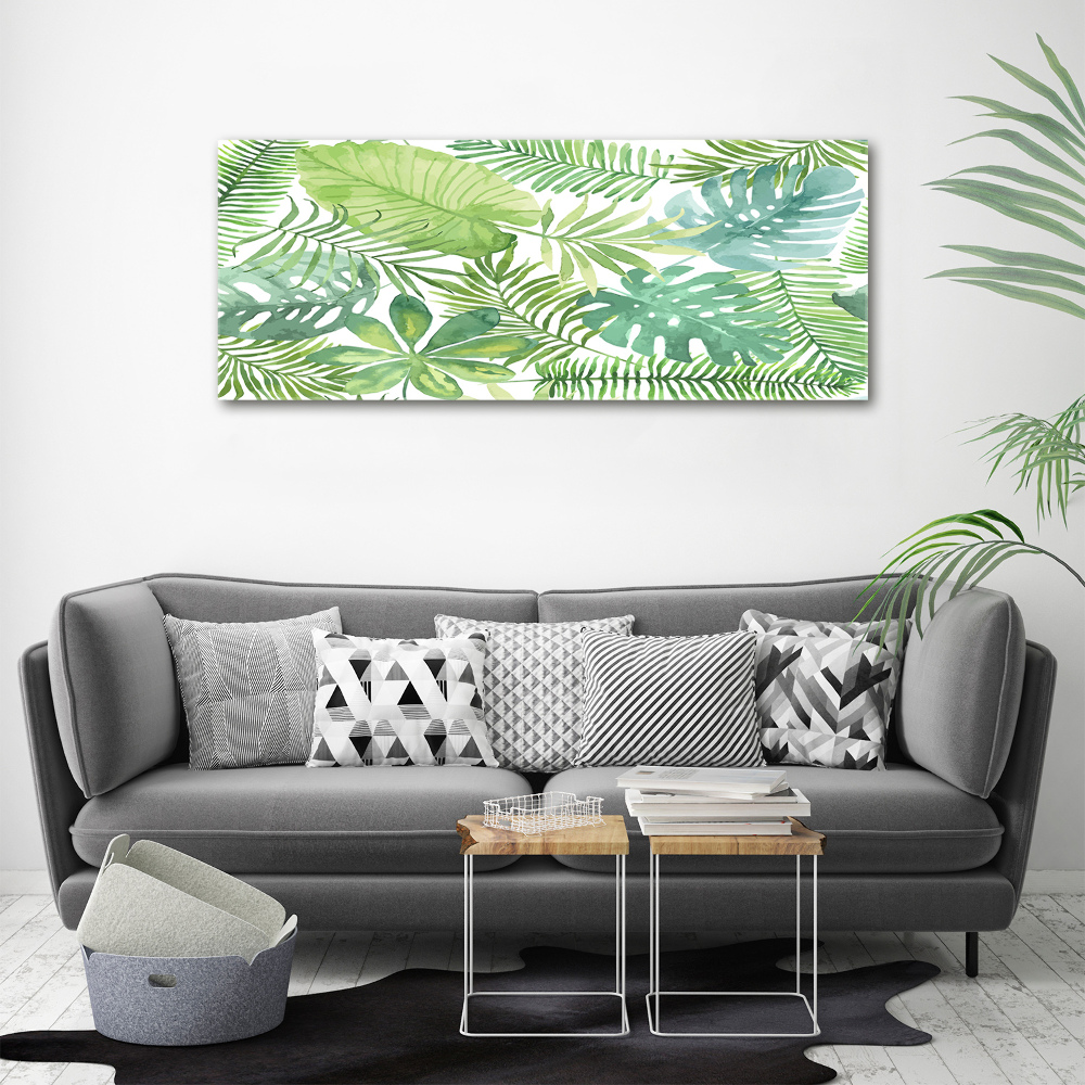 Tableau photo sur toile Feuilles vertes tropicales