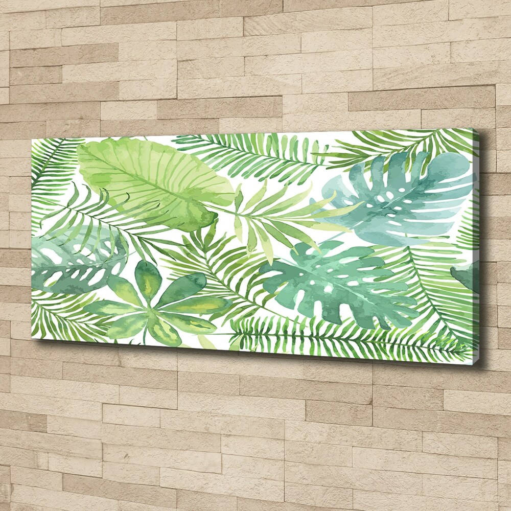 Tableau photo sur toile Feuilles vertes tropicales