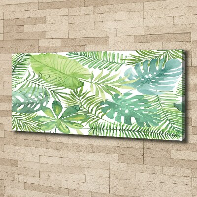 Tableau photo sur toile Feuilles vertes tropicales