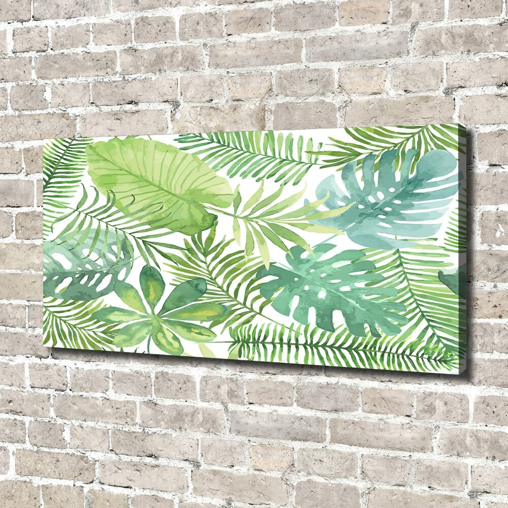 Tableau photo sur toile Feuilles vertes tropicales