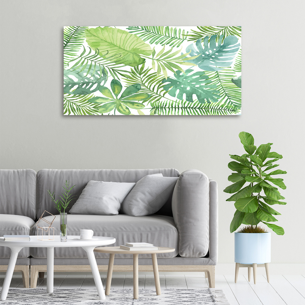 Tableau photo sur toile Feuilles vertes tropicales