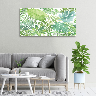 Tableau photo sur toile Feuilles vertes tropicales