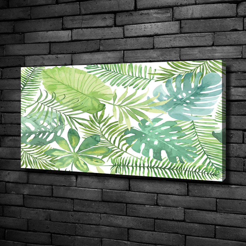 Tableau photo sur toile Feuilles vertes tropicales