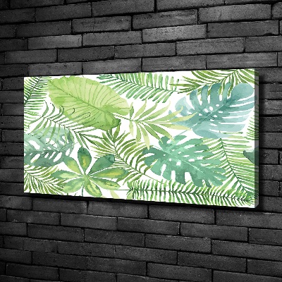 Tableau photo sur toile Feuilles vertes tropicales