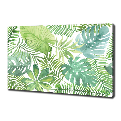 Tableau photo sur toile Feuilles vertes tropicales