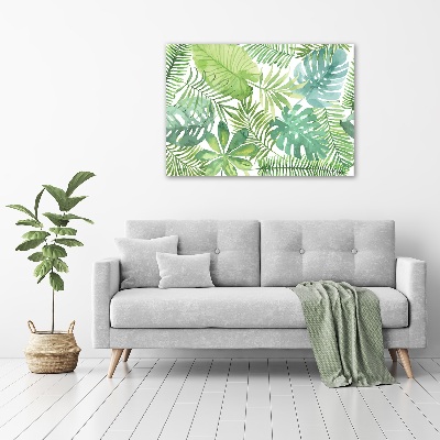 Tableau photo sur toile Feuilles vertes tropicales