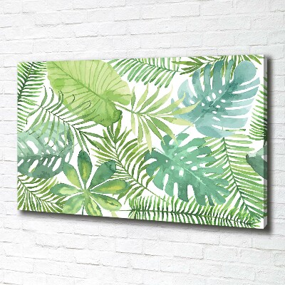 Tableau photo sur toile Feuilles vertes tropicales