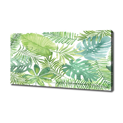 Tableau photo sur toile Feuilles vertes tropicales