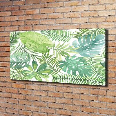 Tableau photo sur toile Feuilles vertes tropicales