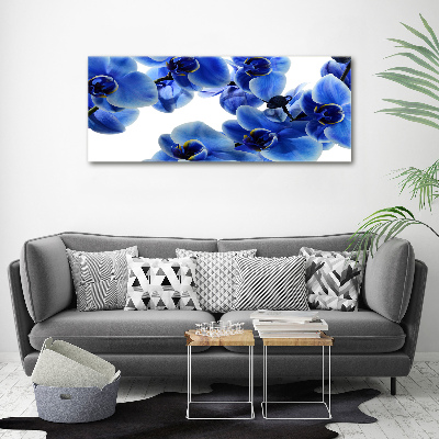 Tableau imprimé sur toile Orchidée bleue