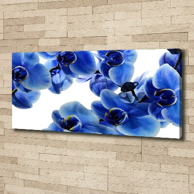 Tableau imprimé sur toile Orchidée bleue