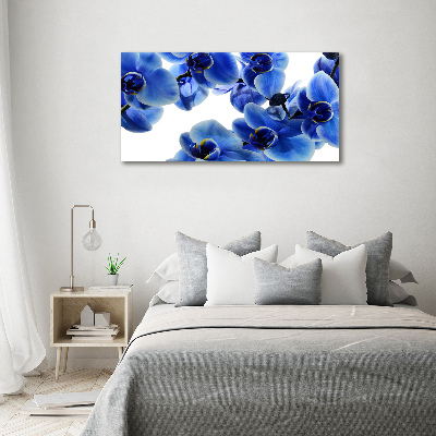 Tableau imprimé sur toile Orchidée bleue