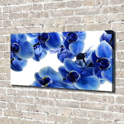 Tableau imprimé sur toile Orchidée bleue