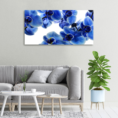 Tableau imprimé sur toile Orchidée bleue