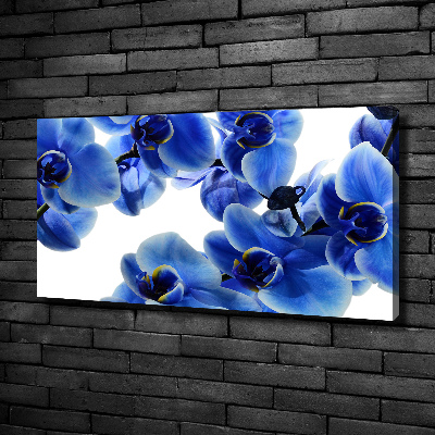 Tableau imprimé sur toile Orchidée bleue