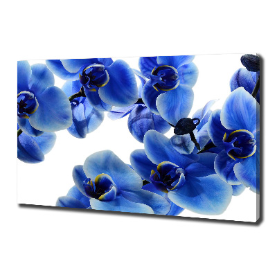 Tableau imprimé sur toile Orchidée bleue