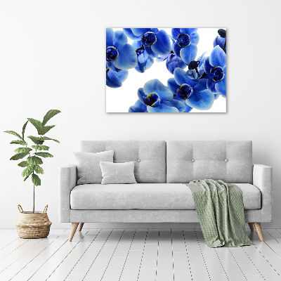 Tableau imprimé sur toile Orchidée bleue