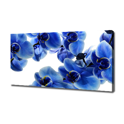 Tableau imprimé sur toile Orchidée bleue