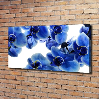 Tableau imprimé sur toile Orchidée bleue