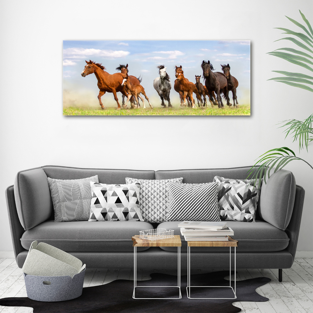 Tableau imprimé sur toile Chevaux au galop