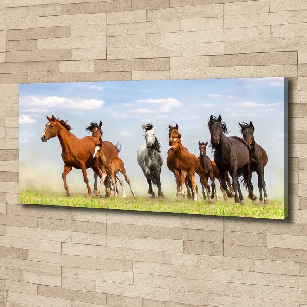 Tableau imprimé sur toile Chevaux au galop