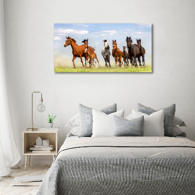 Tableau imprimé sur toile Chevaux au galop