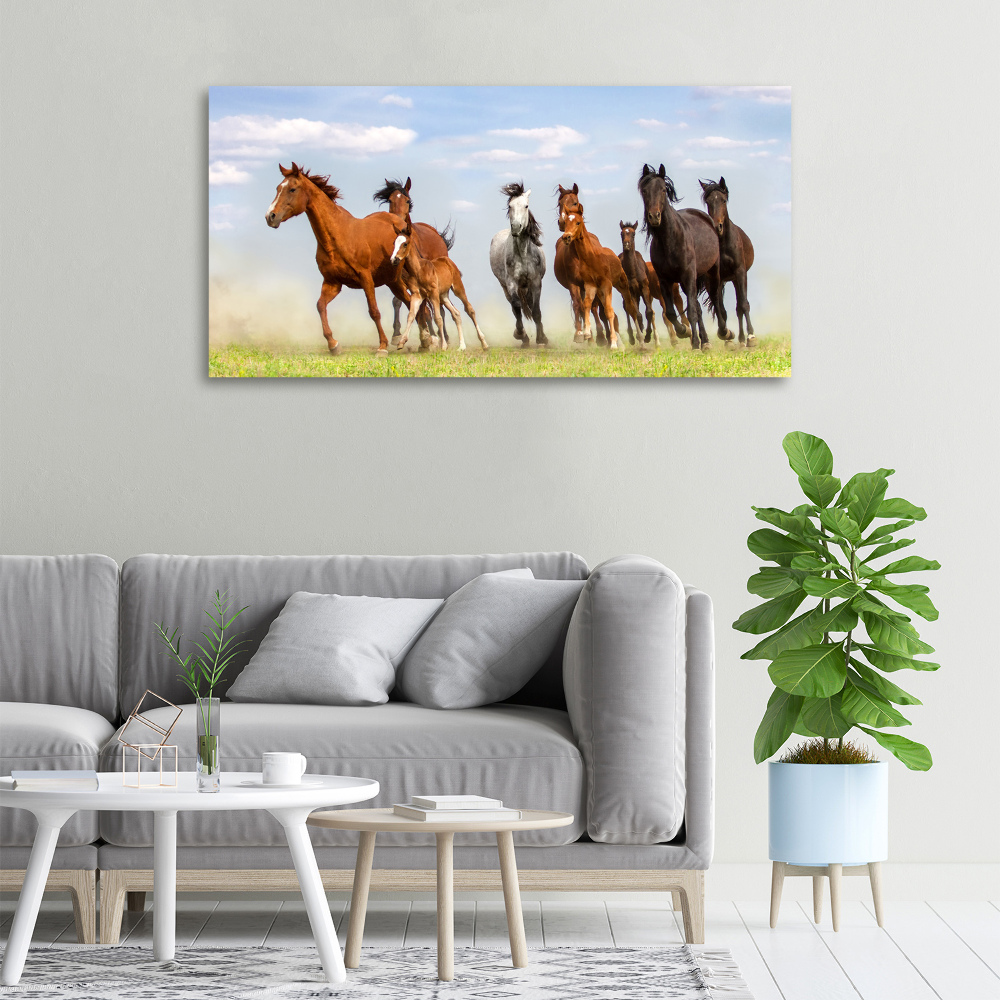 Tableau imprimé sur toile Chevaux au galop