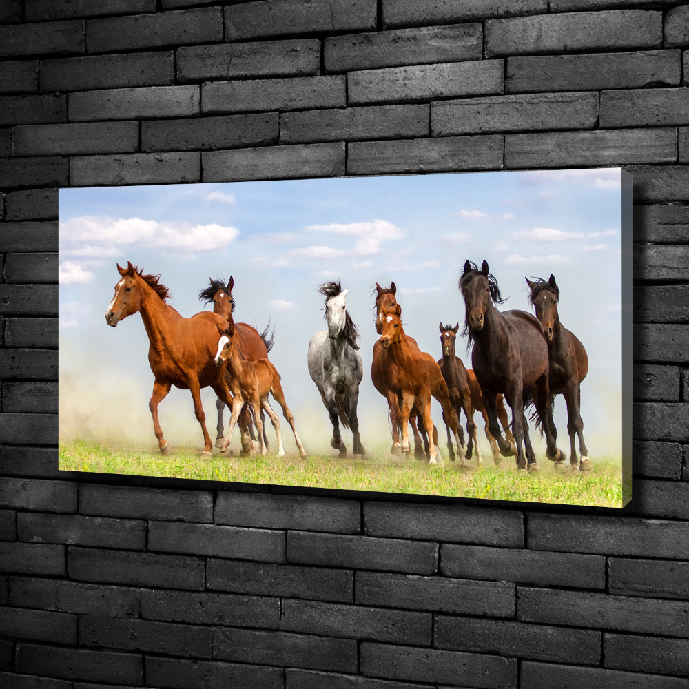 Tableau imprimé sur toile Chevaux au galop